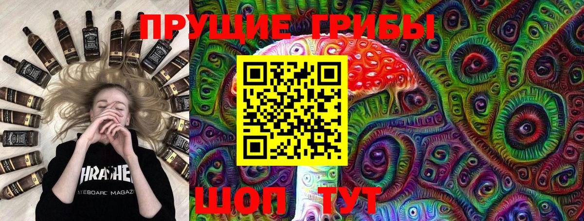 Верхний Уфалей  Галлюциногенные грибы прущие грибы  Вход с VPN 